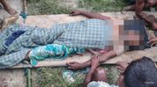 Assam man killed in wild buffalo attack near Burachapori sanctuary Assam man killed in wild buffalo attack near Burachapori sanctuary