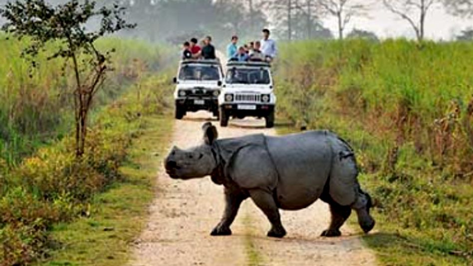 Gaurav Gogoi alleges Assam government removed 2022 Kaziranga gazette notification after Panbari corridor omission Gaurav Gogoi alleges Assam government removed 2022 Kaziranga gazette notification after Panbari corridor omission