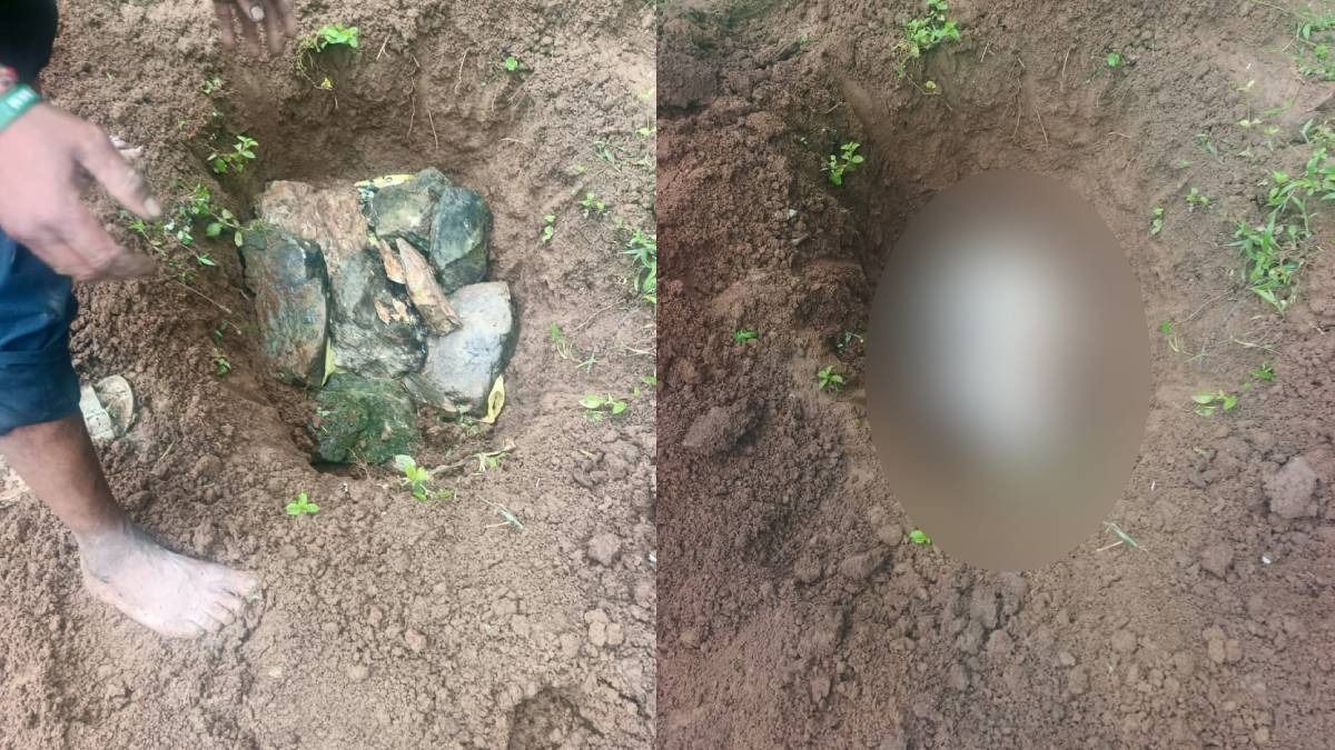 Pet dog shot dead with air gun in Sikkim’s Yangsum, FIR registered Pet dog shot dead with air gun in Sikkim’s Yangsum, FIR registered