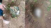 Pet dog shot dead with air gun in Sikkim’s Yangsum, FIR registered Pet dog shot dead with air gun in Sikkim’s Yangsum, FIR registered