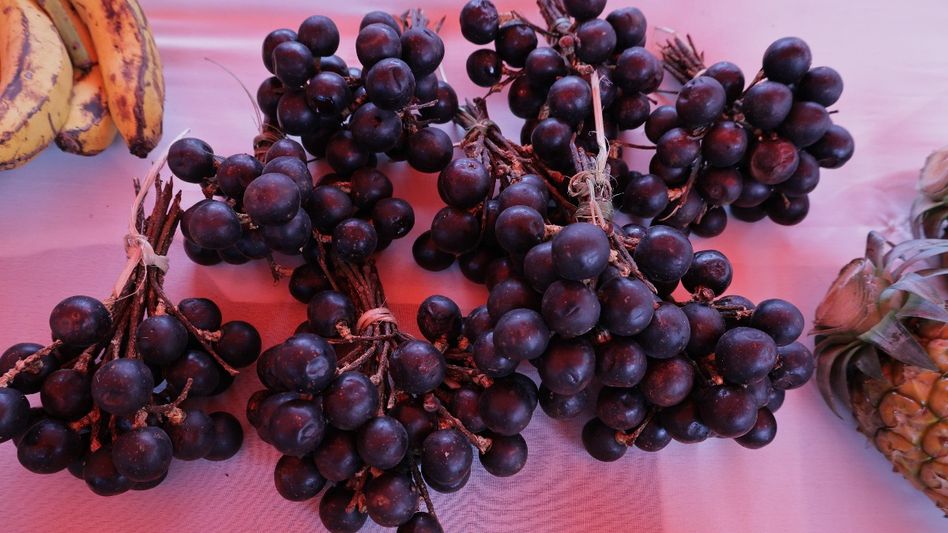 Sohiong sells out as Shillong market brings Meghalaya’s local produce to buyers Sohiong sells out as Shillong market brings Meghalaya’s local produce to buyers