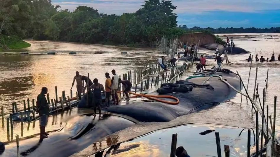 Assam CM sets Oct 10 deadline to complete second phase of flood damage survey Assam CM sets Oct 10 deadline to complete second phase of flood damage survey