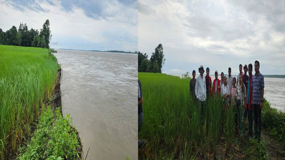 Arunachal: Siang River erosion damages paddy fields in Borguli, threatens farmers’ livelihoods Arunachal: Siang River erosion damages paddy fields in Borguli, threatens farmers’ livelihoods