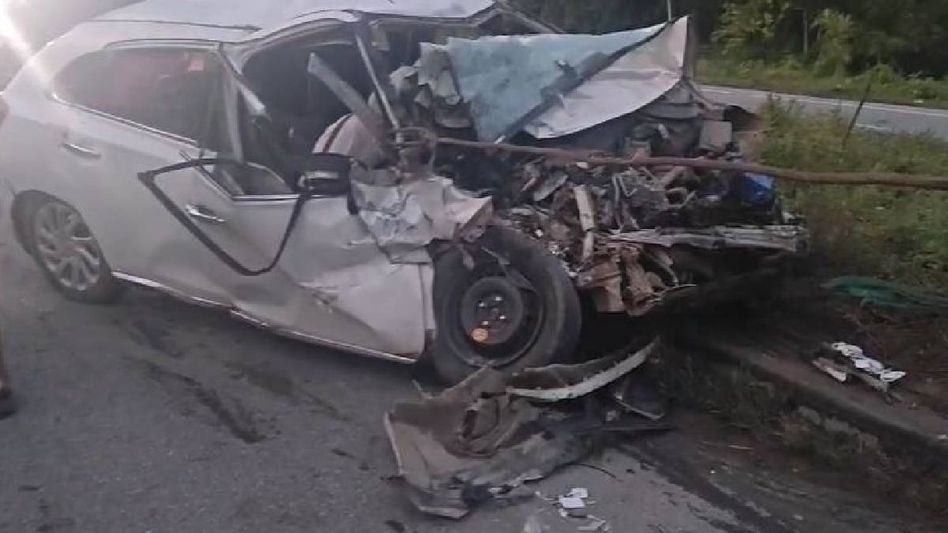 Assam: Two suspected cattle thieves killed, three cattle die in Khowang road accident Assam: Two suspected cattle thieves killed, three cattle die in Khowang road accident