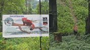Sikkim: Five red panda cubs born at Gangtok zoo amid revival of conservation breeding programme Sikkim: Five red panda cubs born at Gangtok zoo amid revival of conservation breeding programme
