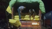 Assam Police seize 300 sacks of urea fertiliser in Dholai, driver held Assam Police seize 300 sacks of urea fertiliser in Dholai, driver held