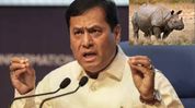 Rhino poaching was routine before 2016, crackdown launched to protect Assam’s pride: Sonowal Rhino poaching was routine before 2016, crackdown launched to protect Assam’s pride: Sonowal
