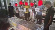 300 rare Channa barca fish seized from bus in Assam's Bokakhat, five detained 300 rare Channa barca fish seized from bus in Assam's Bokakhat, five detained