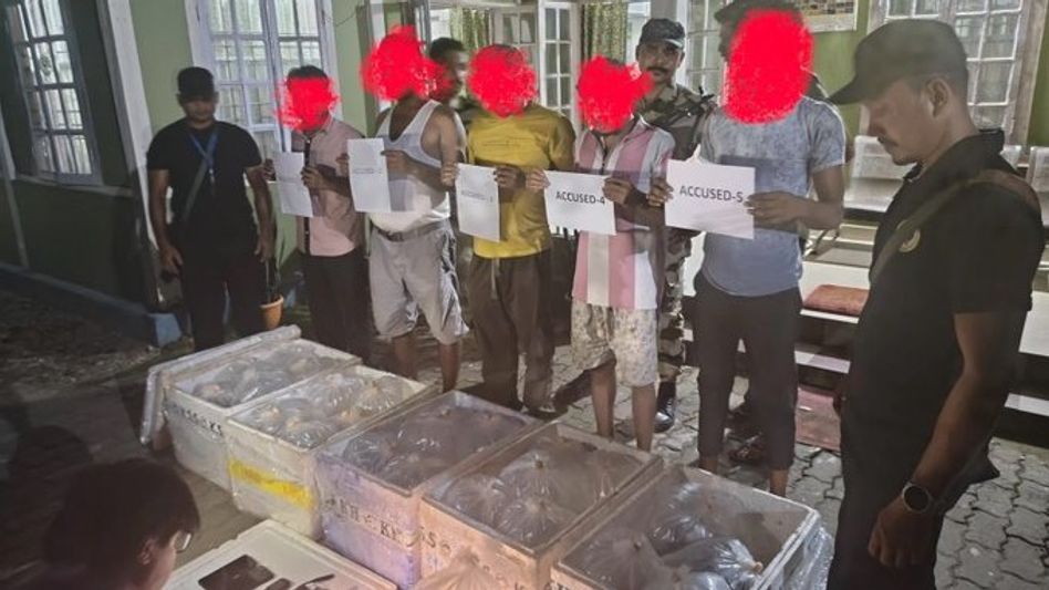 300 rare Channa barca fish seized from bus in Assam's Bokakhat, five detained 300 rare Channa barca fish seized from bus in Assam's Bokakhat, five detained
