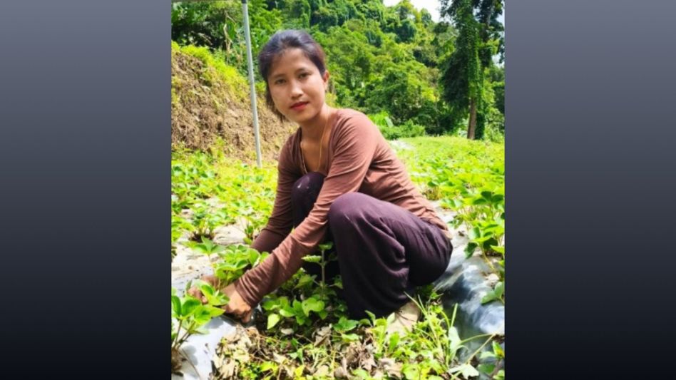 Mizoram farmer to receive UN award for transforming strawberry farming into livelihood Mizoram farmer to receive UN award for transforming strawberry farming into livelihood