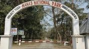 Assam: Manas National Park to reopen for tourists on October 2 for 2026-27 season Assam: Manas National Park to reopen for tourists on October 2 for 2026-27 season