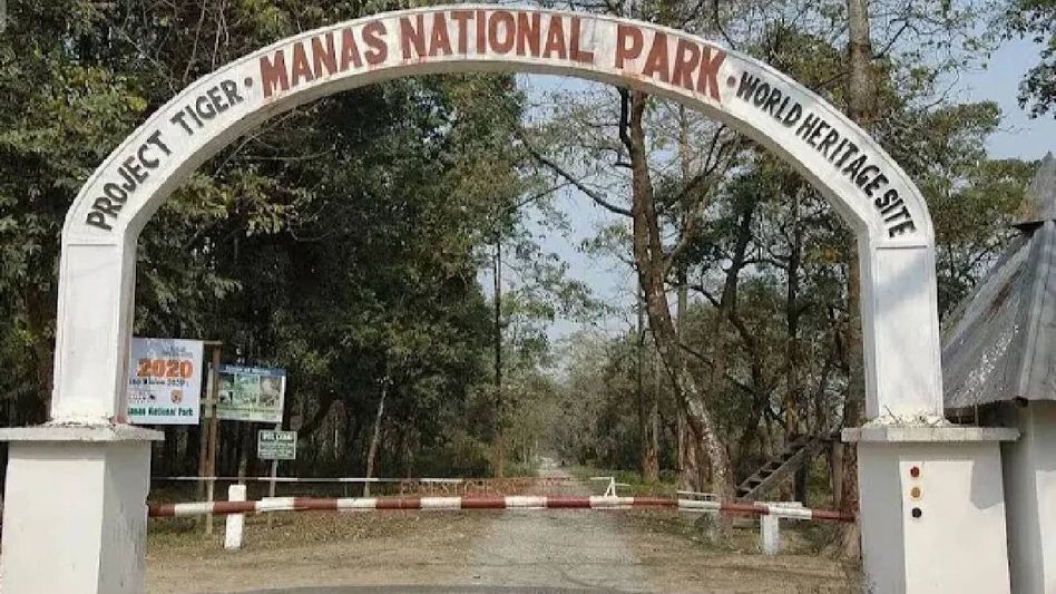Assam: Manas National Park to reopen for tourists on October 2 for 2026-27 season Assam: Manas National Park to reopen for tourists on October 2 for 2026-27 season