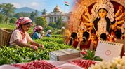 Assam announces 20 per cent Durga Puja bonus for ATCL tea workers, extra holiday for government staff Assam announces 20 per cent Durga Puja bonus for ATCL tea workers, extra holiday for government staff