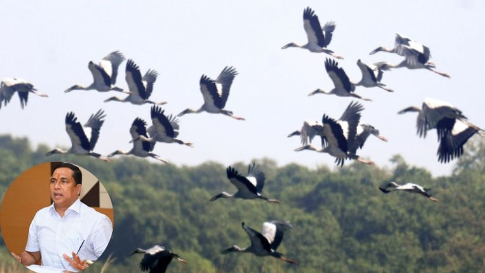 Assam’s Pobitora records 35,371 visitors in 2025-26 as tourism focus shifts to conservation, local livelihoods Assam’s Pobitora records 35,371 visitors in 2025-26 as tourism focus shifts to conservation, local livelihoods