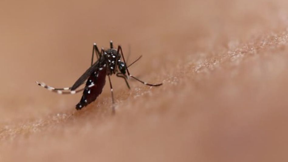 Dengue alert issued in Arunachal’s capital amid rise in fever cases Dengue alert issued in Arunachal’s capital amid rise in fever cases