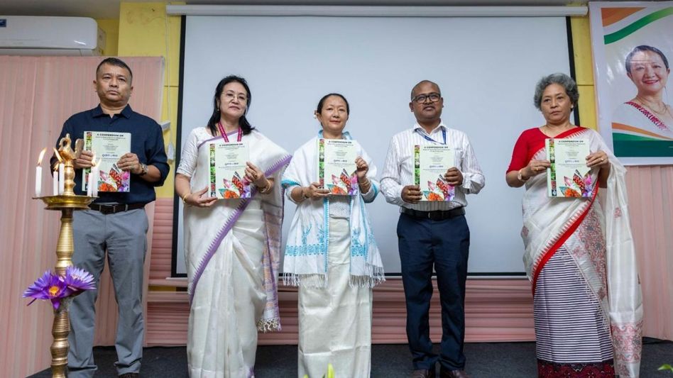 From Ziro to Manipur, indigenous knowledge in Northeast needs scientific backing: NITI Aayog member From Ziro to Manipur, indigenous knowledge in Northeast needs scientific backing: NITI Aayog member