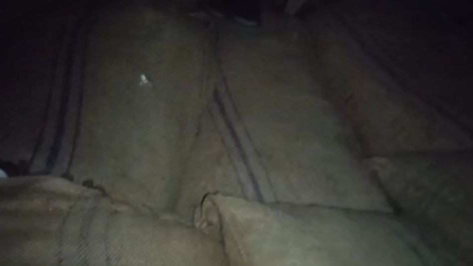 5,740 kg of illegal areca nuts seized from truck in Assam's Srirampur, driver arrested 5,740 kg of illegal areca nuts seized from truck in Assam's Srirampur, driver arrested