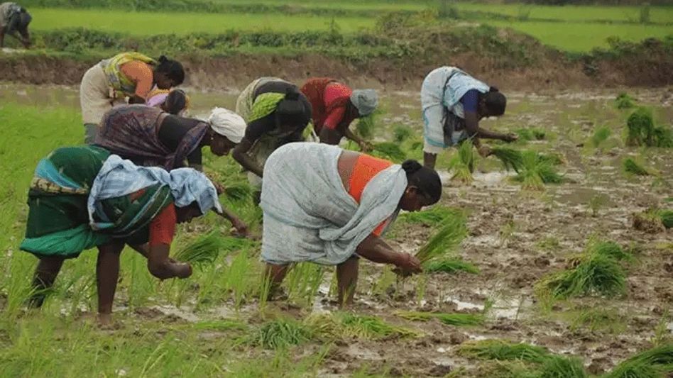 Mizoram receives Rs 75.79 crore under Centre’s agriculture schemes Mizoram receives Rs 75.79 crore under Centre’s agriculture schemes