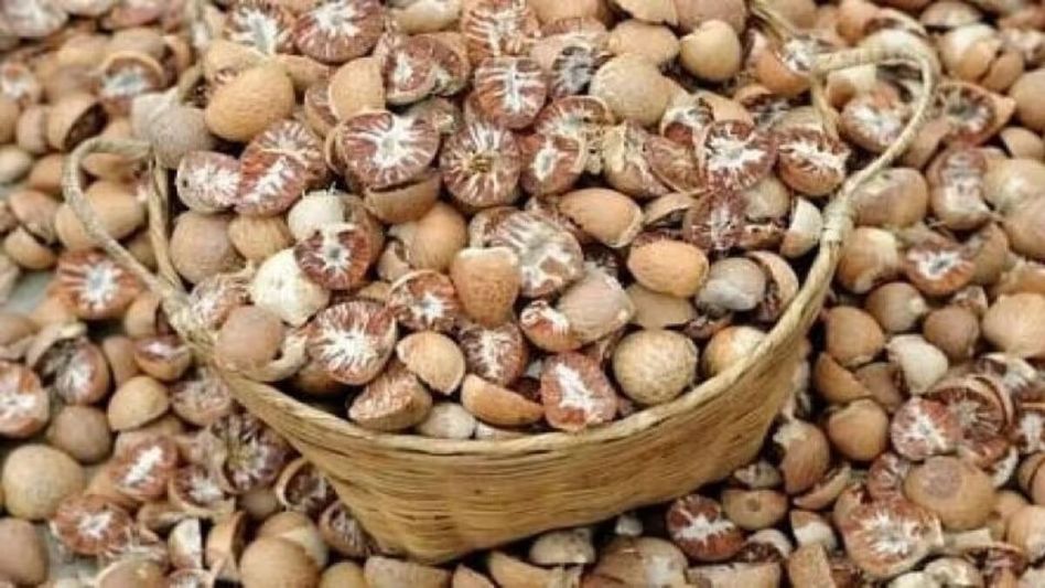 ED searches 16 locations in Assam, Bengal over alleged foreign areca nut smuggling syndicate ED searches 16 locations in Assam, Bengal over alleged foreign areca nut smuggling syndicate