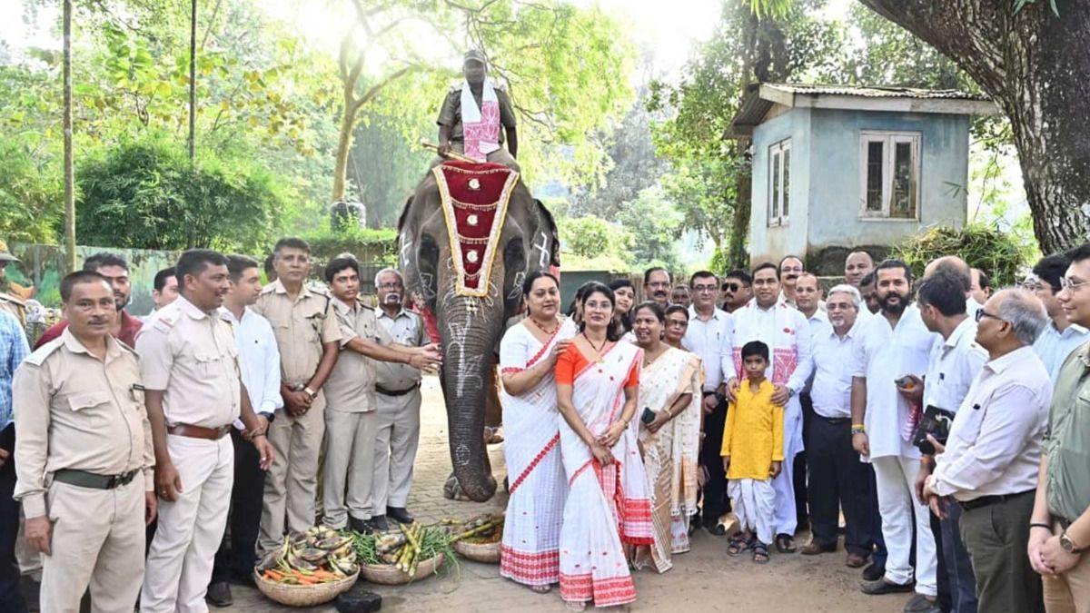 Assam zoo set for Rs 340-crore makeover, bird aviary and toy train among new attractions