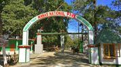 Assam wildlife tourism season begins as Manas reopens; Kaziranga, Pobitora to follow Assam wildlife tourism season begins as Manas reopens; Kaziranga, Pobitora to follow
