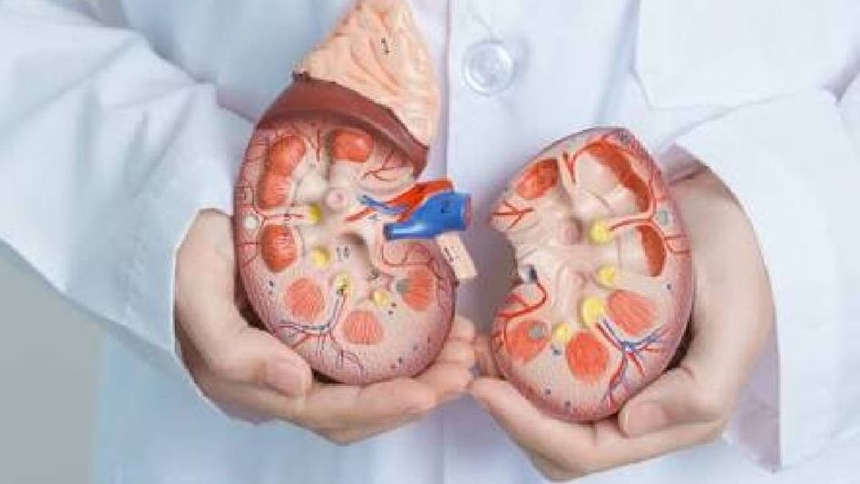 Tripura performs 9 kidney transplants, two more scheduled on October 5 and 6 Tripura performs 9 kidney transplants, two more scheduled on October 5 and 6