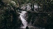 Uttar Pradesh tourist apologises after filming Assam women bathing at Meghalaya waterfall Uttar Pradesh tourist apologises after filming Assam women bathing at Meghalaya waterfall