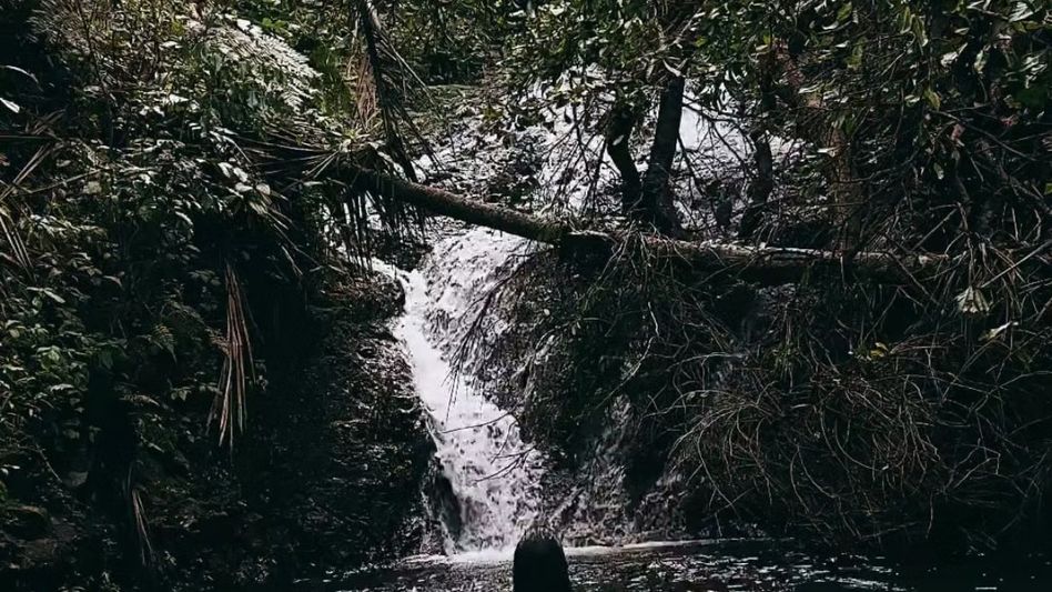 Uttar Pradesh tourist apologises after filming Assam women bathing at Meghalaya waterfall Uttar Pradesh tourist apologises after filming Assam women bathing at Meghalaya waterfall