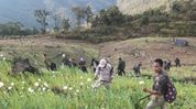 Manipur: Churachandpur police warn against illegal poppy cultivation Manipur: Churachandpur police warn against illegal poppy cultivation