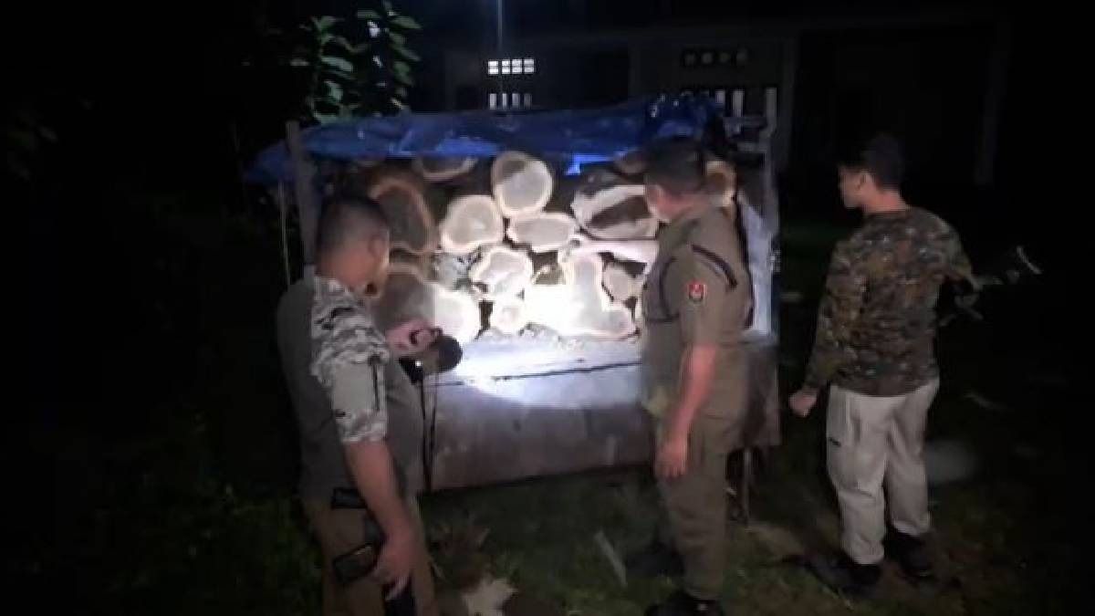 Assam forest department seizes Tata DI vehicle carrying teak logs near Meghalaya border