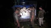 Assam forest department seizes Tata DI vehicle carrying teak logs near Meghalaya border Assam forest department seizes Tata DI vehicle carrying teak logs near Meghalaya border