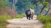 Assam strengthens wildlife corridors and forest protection ahead of new tourism season Assam strengthens wildlife corridors and forest protection ahead of new tourism season