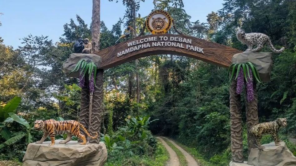 Arunachal: Namdapha Tiger Reserve staff threaten to vacate camps, suspend work over 6 months of unpaid wages Arunachal: Namdapha Tiger Reserve staff threaten to vacate camps, suspend work over 6 months of unpaid wages