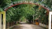 Assam's Pobitora Wildlife Sanctuary reopens for 2026-27 tourism season Assam's Pobitora Wildlife Sanctuary reopens for 2026-27 tourism season
