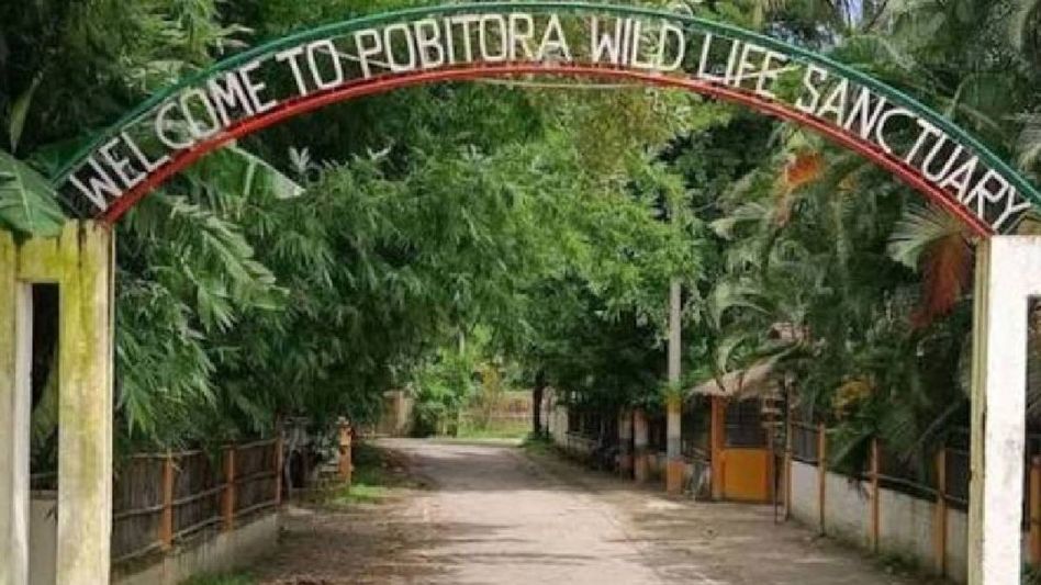 Assam's Pobitora Wildlife Sanctuary reopens for 2026-27 tourism season Assam's Pobitora Wildlife Sanctuary reopens for 2026-27 tourism season