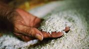 Nagaland launches subsidised rice scheme for 1.21 lakh households excluded from NFSA Nagaland launches subsidised rice scheme for 1.21 lakh households excluded from NFSA