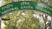 NGT gives CPCB eight weeks to report on standardised microplastics testing methods NGT gives CPCB eight weeks to report on standardised microplastics testing methods