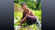 Mizoram woman farmer earns UN honour after strawberry venture tops Rs 10 lakh Mizoram woman farmer earns UN honour after strawberry venture tops Rs 10 lakh