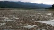 Satellite mapping identifies over 3.4 lakh hectares of potentially reclaimable wasteland in Meghalaya: Study Satellite mapping identifies over 3.4 lakh hectares of potentially reclaimable wasteland in Meghalaya: Study