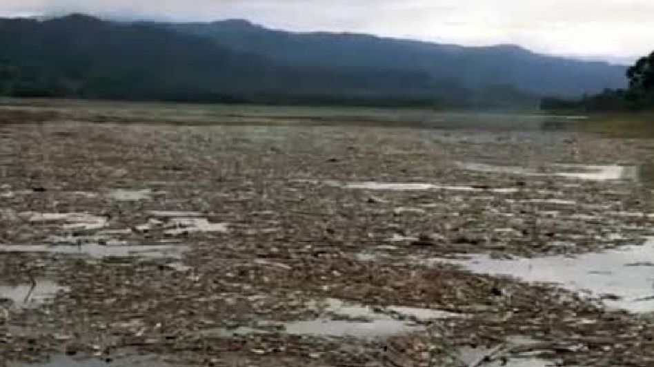 Satellite mapping identifies over 3.4 lakh hectares of potentially reclaimable wasteland in Meghalaya: Study Satellite mapping identifies over 3.4 lakh hectares of potentially reclaimable wasteland in Meghalaya: Study
