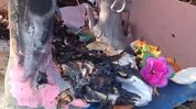 Assam: Durga Puja pandal set ablaze in Jagiroad, three idols destroyed Assam: Durga Puja pandal set ablaze in Jagiroad, three idols destroyed