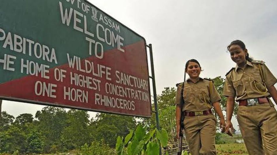 Assam transfers 2,137 forest department employees through online randomisation system Assam transfers 2,137 forest department employees through online randomisation system