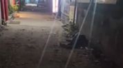 Guwahati hotel Bilas Inn firing: Five killed, accused arrested within an hour Guwahati hotel Bilas Inn firing: Five killed, accused arrested within an hour