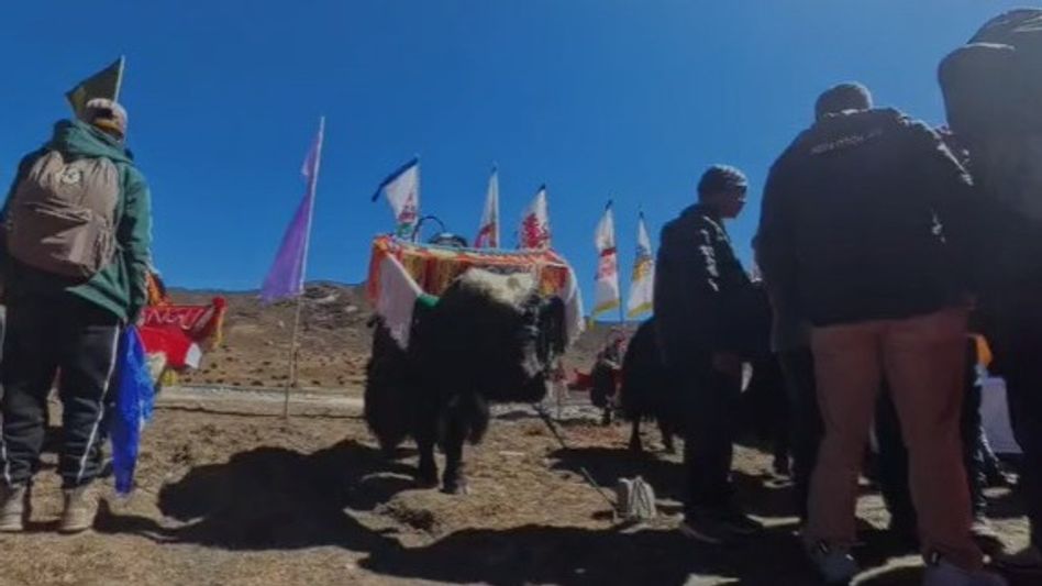 Sikkim holds first Himalayan Yak festival in Gnathang near China border Sikkim holds first Himalayan Yak festival in Gnathang near China border