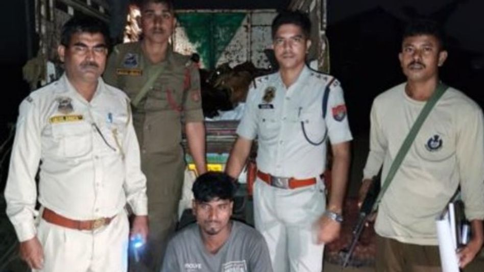 Two arrested with 11 cattle in anti-smuggling operation in Assam’s Bilasipara Two arrested with 11 cattle in anti-smuggling operation in Assam’s Bilasipara