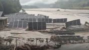 Assam's Dhubri on alert as Bhutan glacial lake outburst threatens sudden rise in Sankosh river Assam's Dhubri on alert as Bhutan glacial lake outburst threatens sudden rise in Sankosh river
