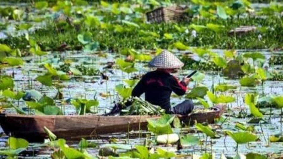 Manipur seeks relaxation of PAP rules for Indian-origin foreign tourists to boost tourism Manipur seeks relaxation of PAP rules for Indian-origin foreign tourists to boost tourism