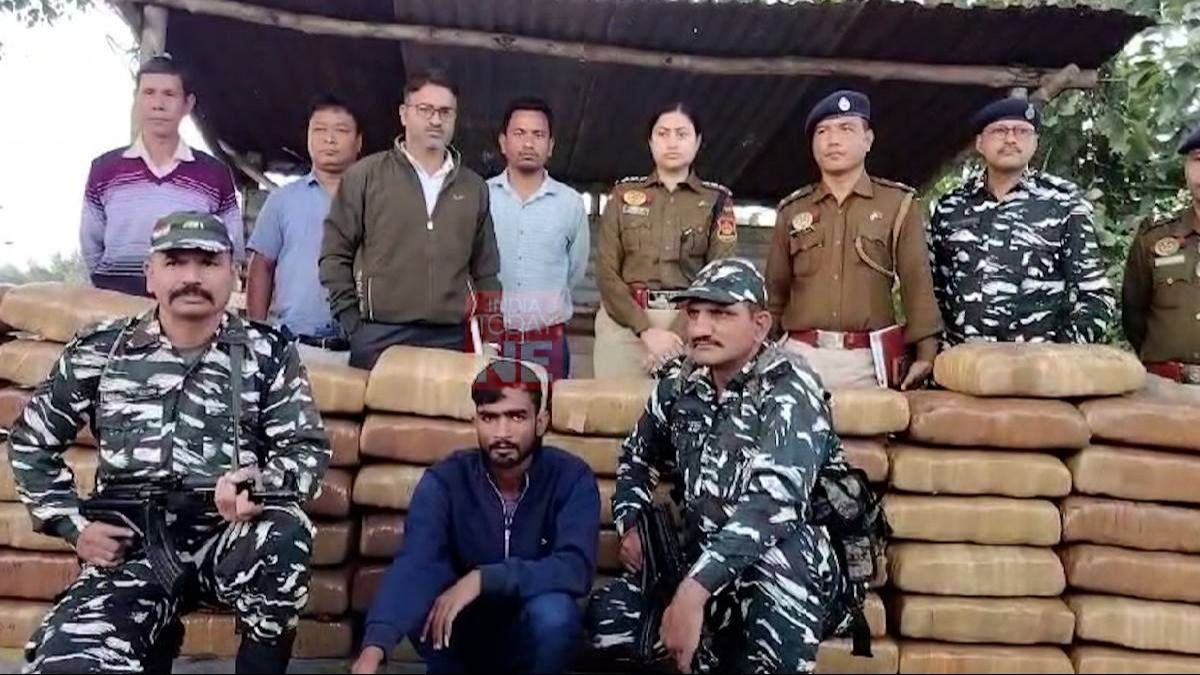 Tripura: One held with cannabis worth Rs 1 crore in Khowai