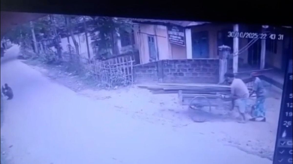 Assam: Allegations of corruption rock Sribhumi forest department, officials under scanner after CCTV footage surface