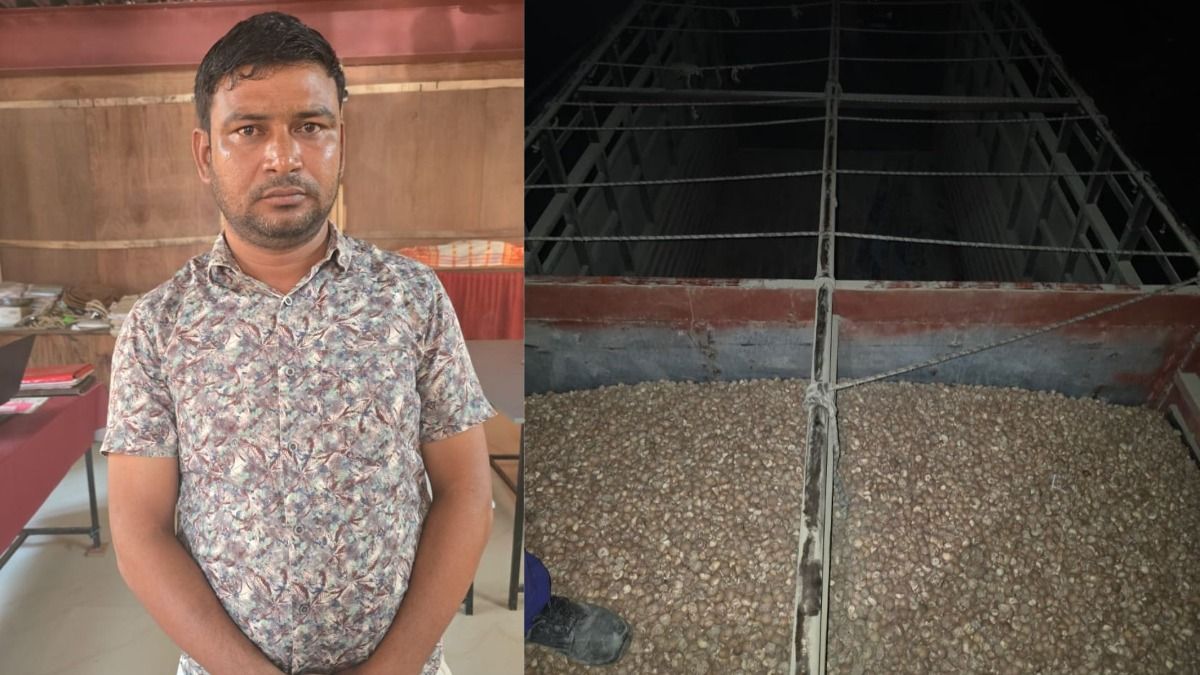Assam police seize over four tonnes of illegal betel nut in major crackdown, one arrested